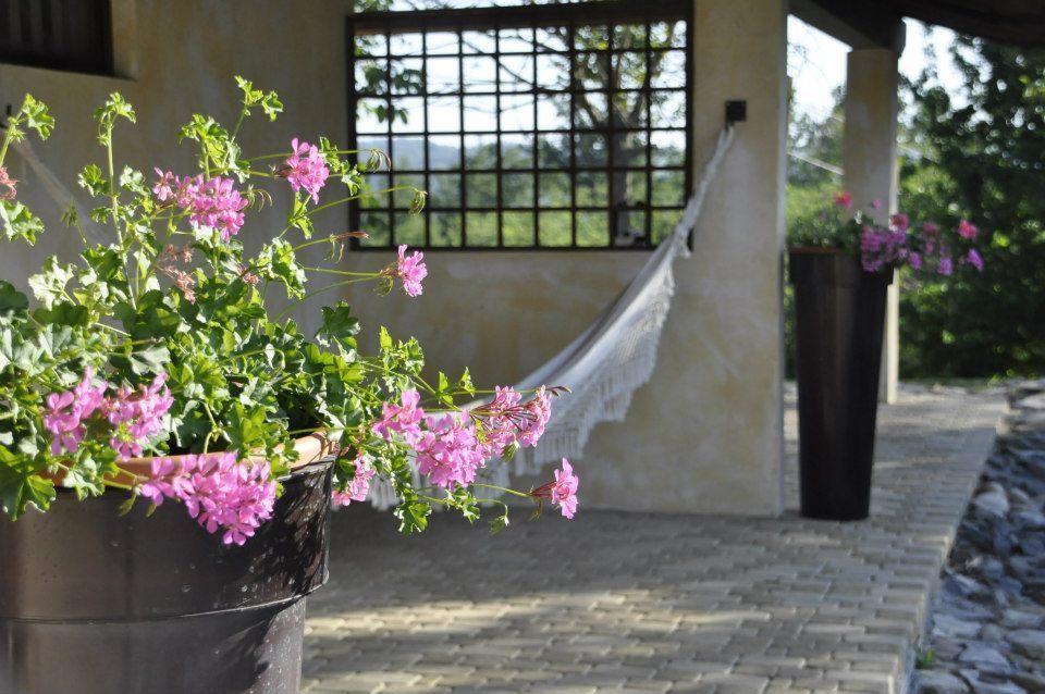 Premiata Osteria Dei Fiori Bed & Breakfast Cortiglione Rom bilde