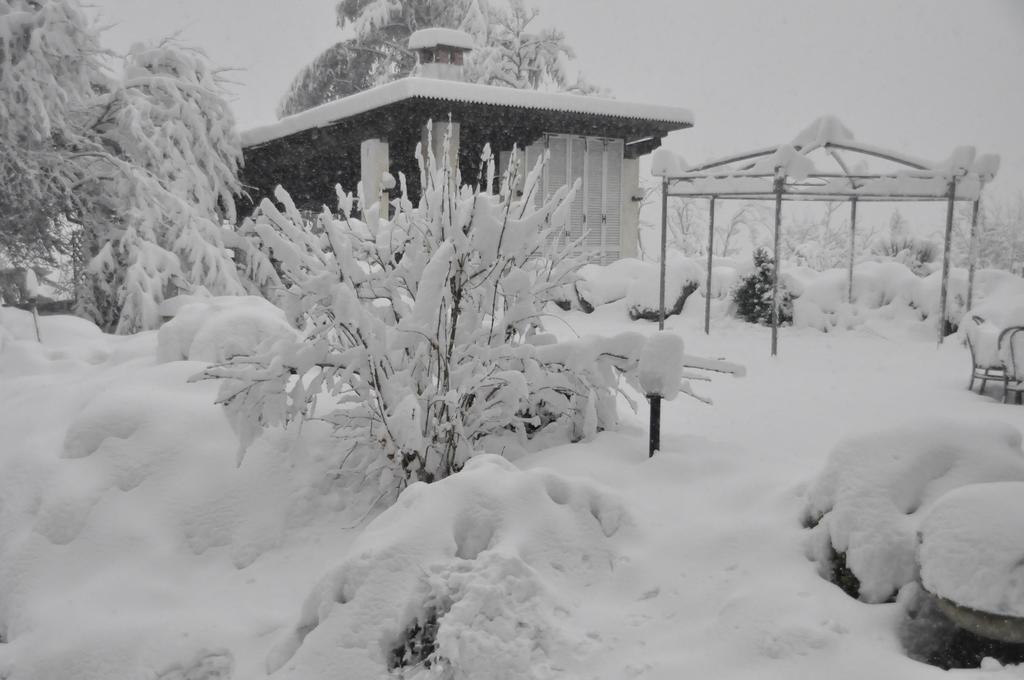 Premiata Osteria Dei Fiori Bed & Breakfast Cortiglione Eksteriør bilde